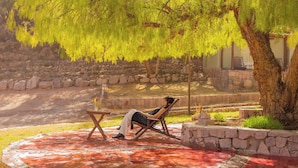 A person relaxing in a chair under a tree, with a stone wall and a small table with a vase nearby. - Don Juan posada andina (Tilcara)