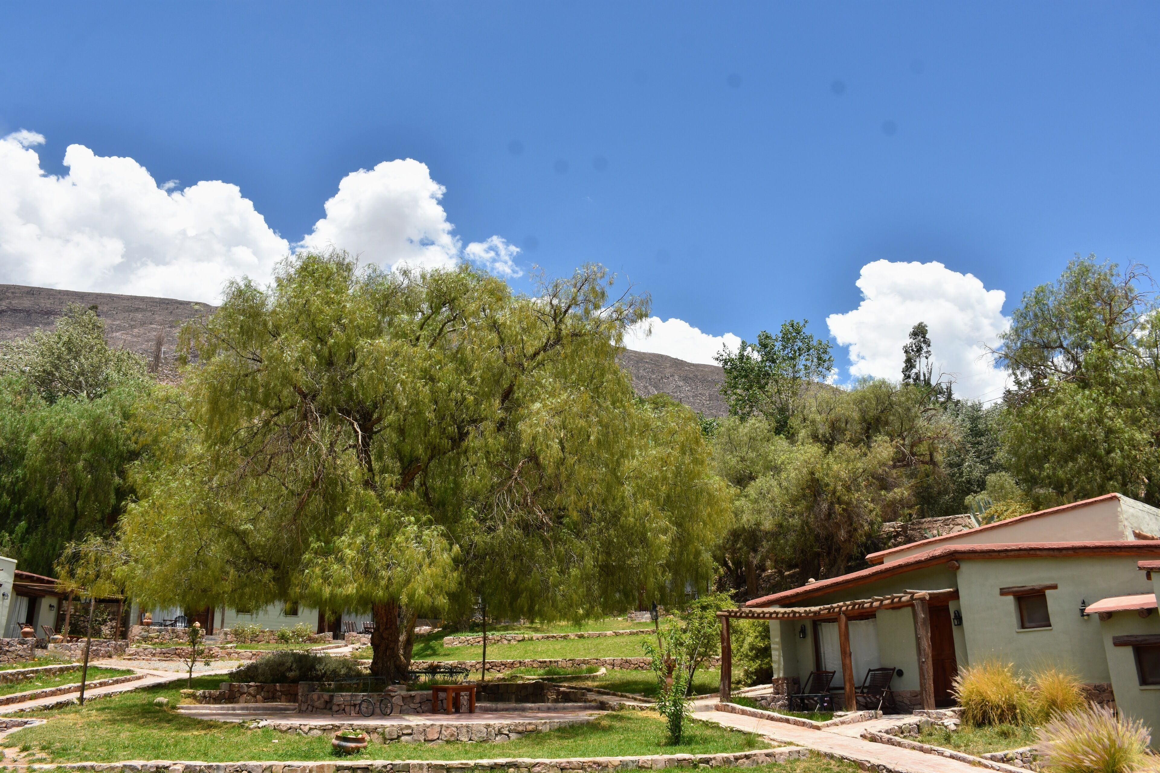Familienzimmer, Terrasse, Gartenblick | Aussenbereich