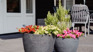 Deux grands jardinières en osier, ornées de fleurs aux couleurs vives, sur une terrasse.