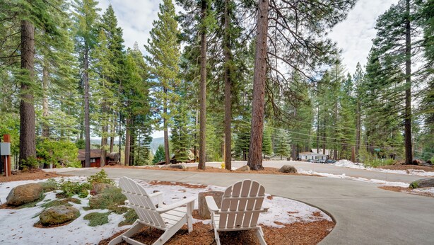 A snow-covered outdoor area with two Adirondack chairs, surrounded by tall pine trees and a paved path. - Gateway to Lassen Volcanic! Cozy Woodland Studio (Westwood)