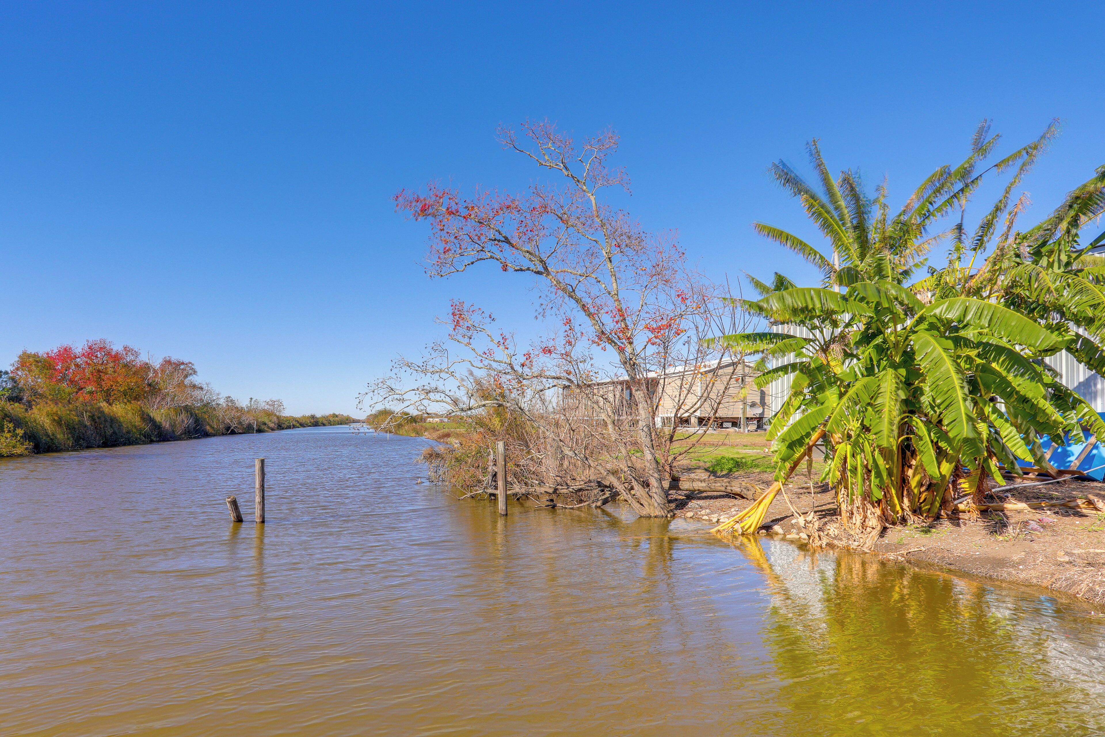 A river with a wooden post, a banana tree, and a building in the background.