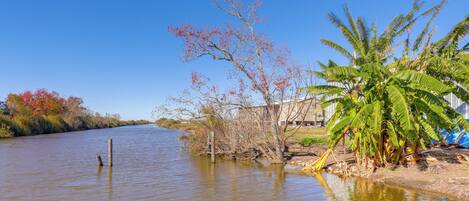A river with a wooden post, a banana tree, and a building in the background.