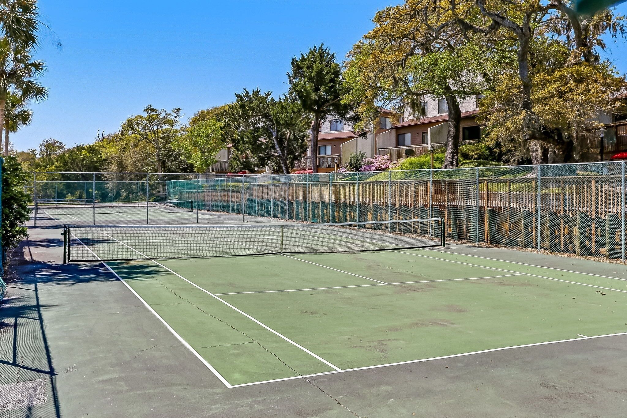 Pista de tennis amb superfície verda, envoltada per una tanca i arbres.