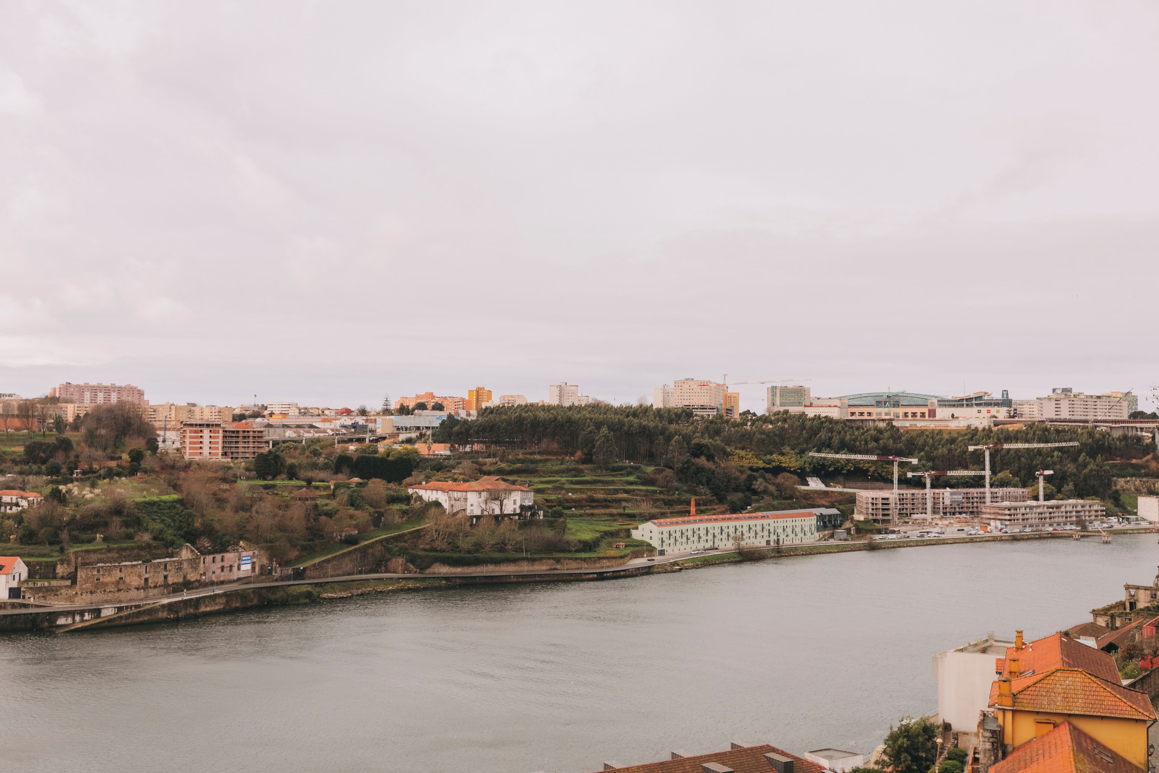 A riverside cityscape with buildings, a bridge, and a hill with vegetation.
