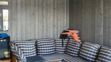 TV, fireplace, books