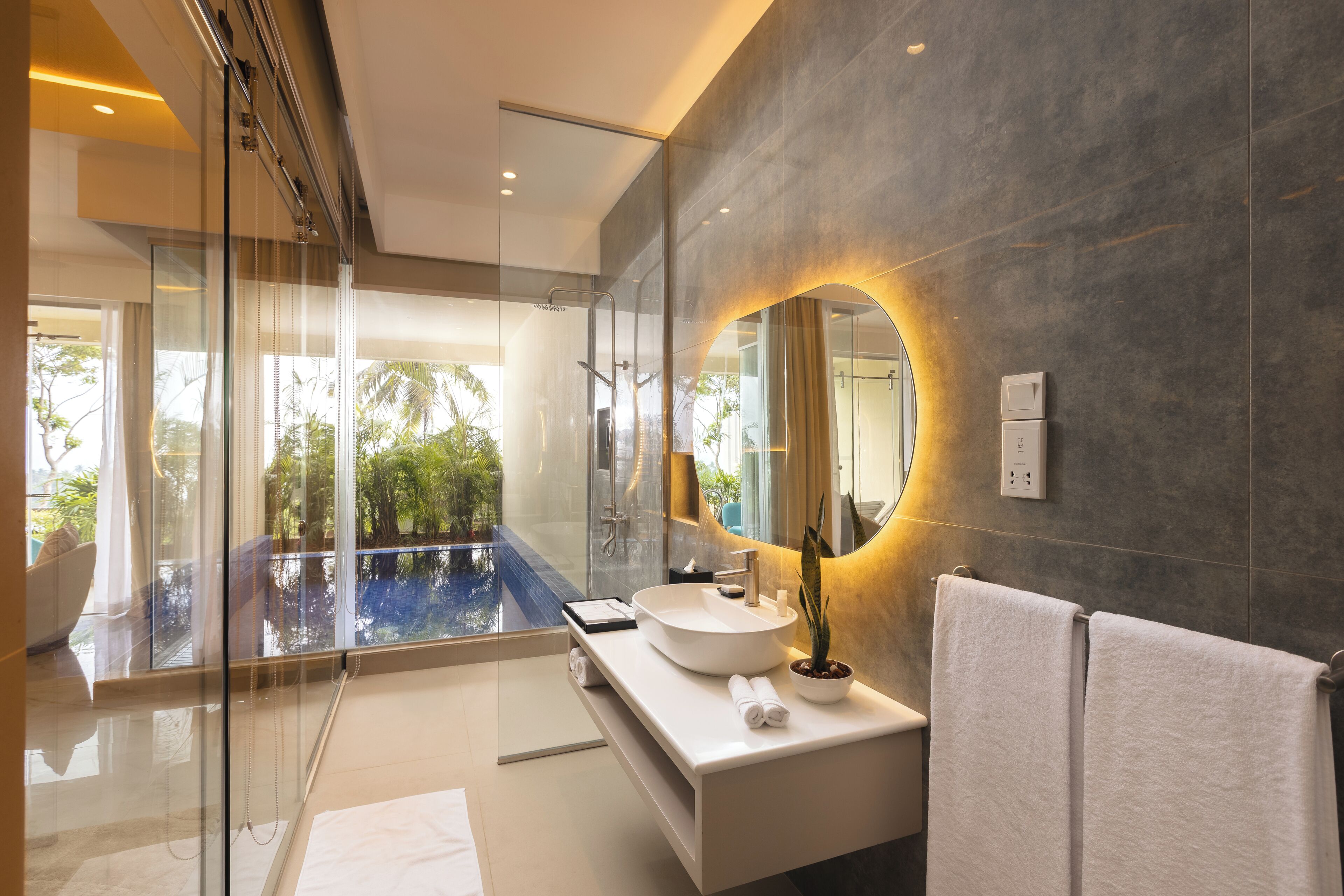 Deluxe Premier Plunge Pool Room