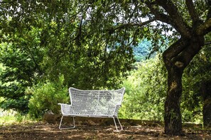 Property grounds - Provencal house with heated pool, jacuzzi and view 5 minutes from the Colorado (Viens)