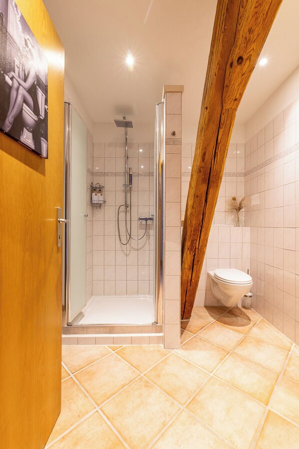 A modern bathroom with a glass-enclosed shower, a toilet, and a wooden beam accentuating the ceiling. - Maison Seeland/quiet/nature/Papiliorama/Bern/Murten (Kerzers)