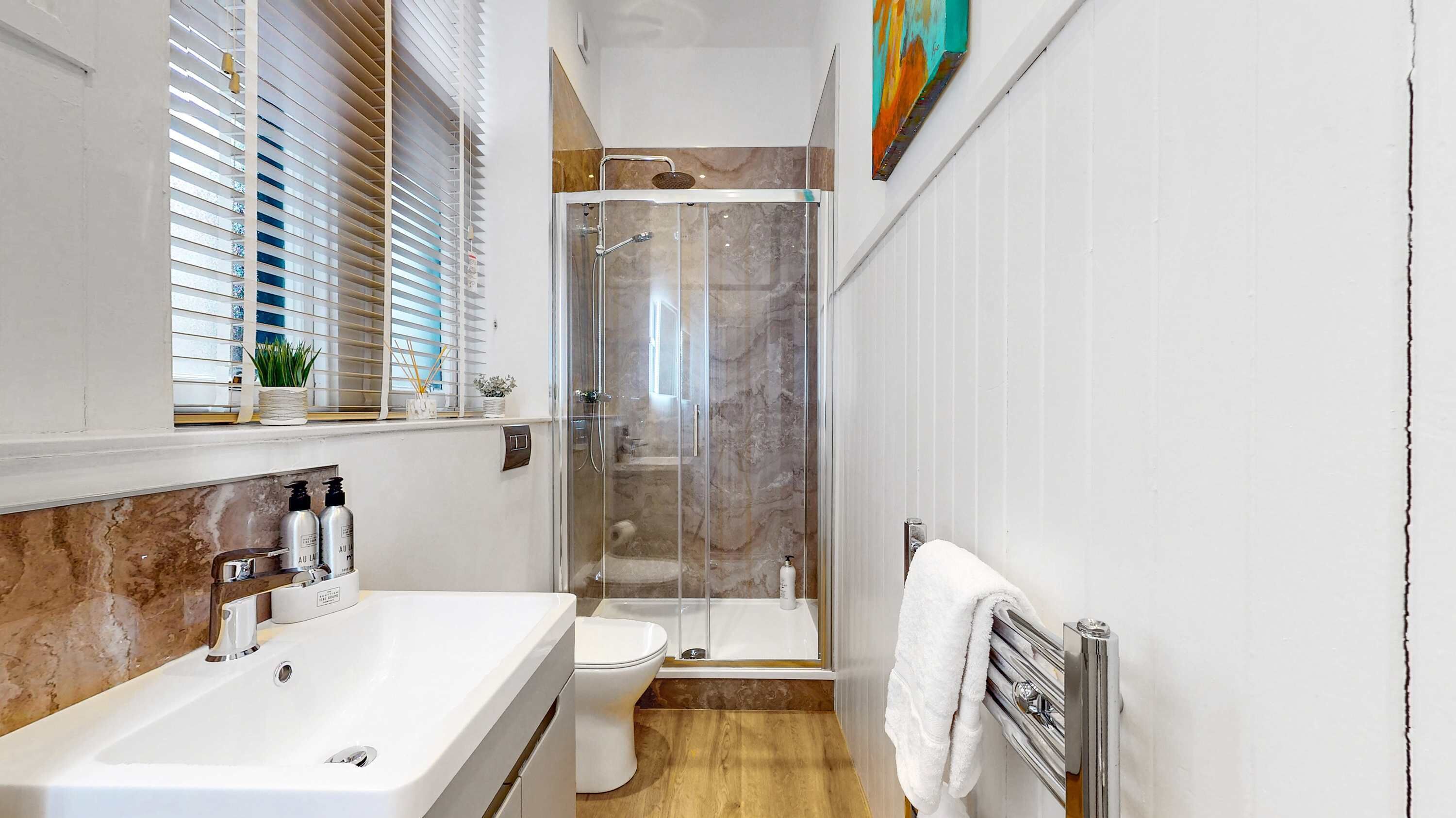 Shower, hair dryer, towels