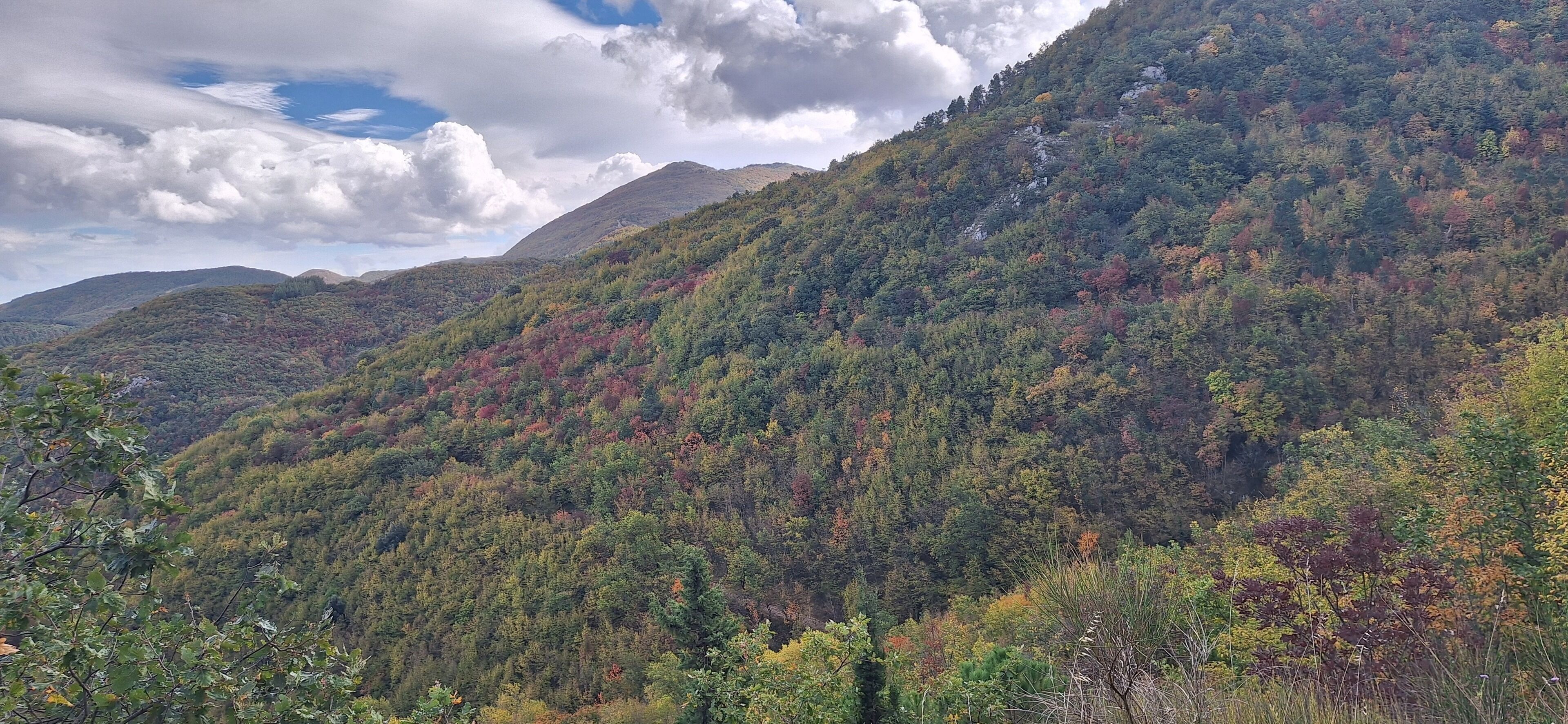 A mountainous landscape with dense forest and a clear sky.
