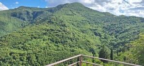 Property grounds - Inside the widespread village of Castelletta in the Gola della Rossa park. (Castelletta)