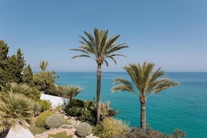 Un paisaje costero con palmeras, cielo despejado y el mar.