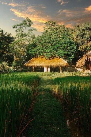 المنطقة المحيطة بالمنشأة