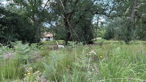 Eine natürliche Landschaft mit einem Haus im Hintergrund, umgeben von dichten Bäumen und hohem Gras.