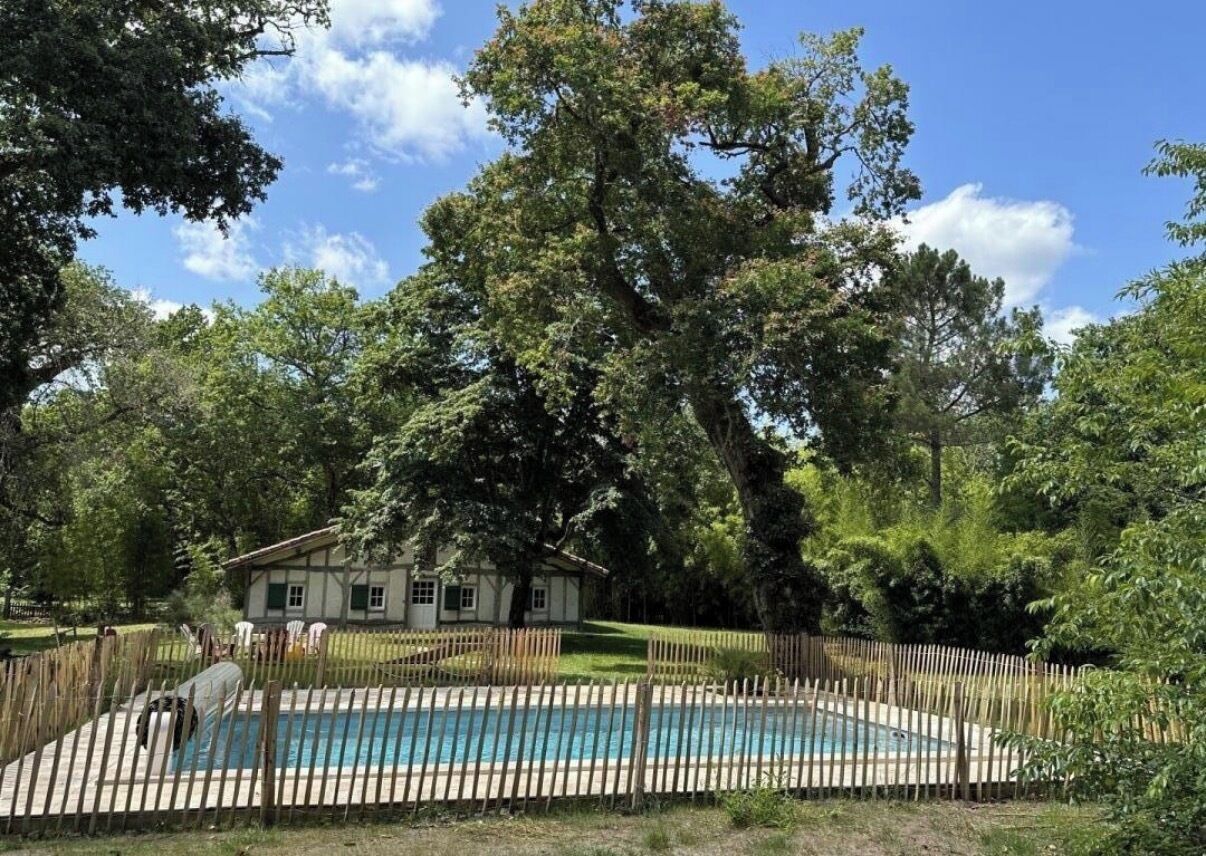 A swimming pool surrounded by a wooden fence, with a house and large trees in the background.