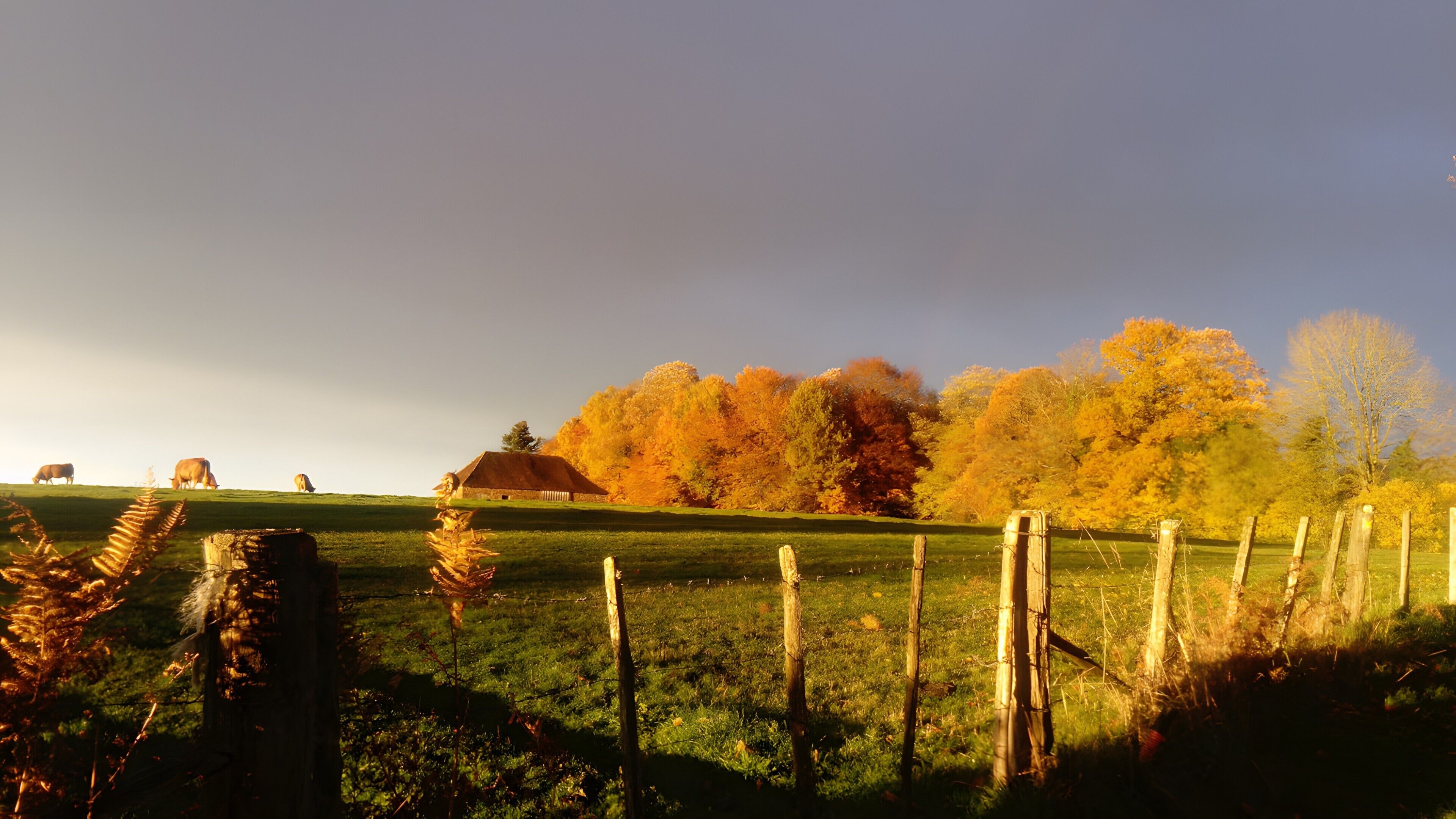 Ländliche Landschaft mit einem grasbewachsen Feld, einem Holzzaun und einem Gebäude mit Strohdach.