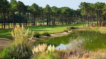 Un campo de golf con un estanque, rodeado de altos pinos.