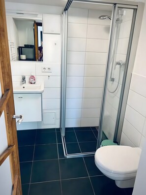 A bathroom with a toilet, a sink, a shower with a glass door, and a mirror. - Apartment 1 Studio with Lake View (Reichenau)