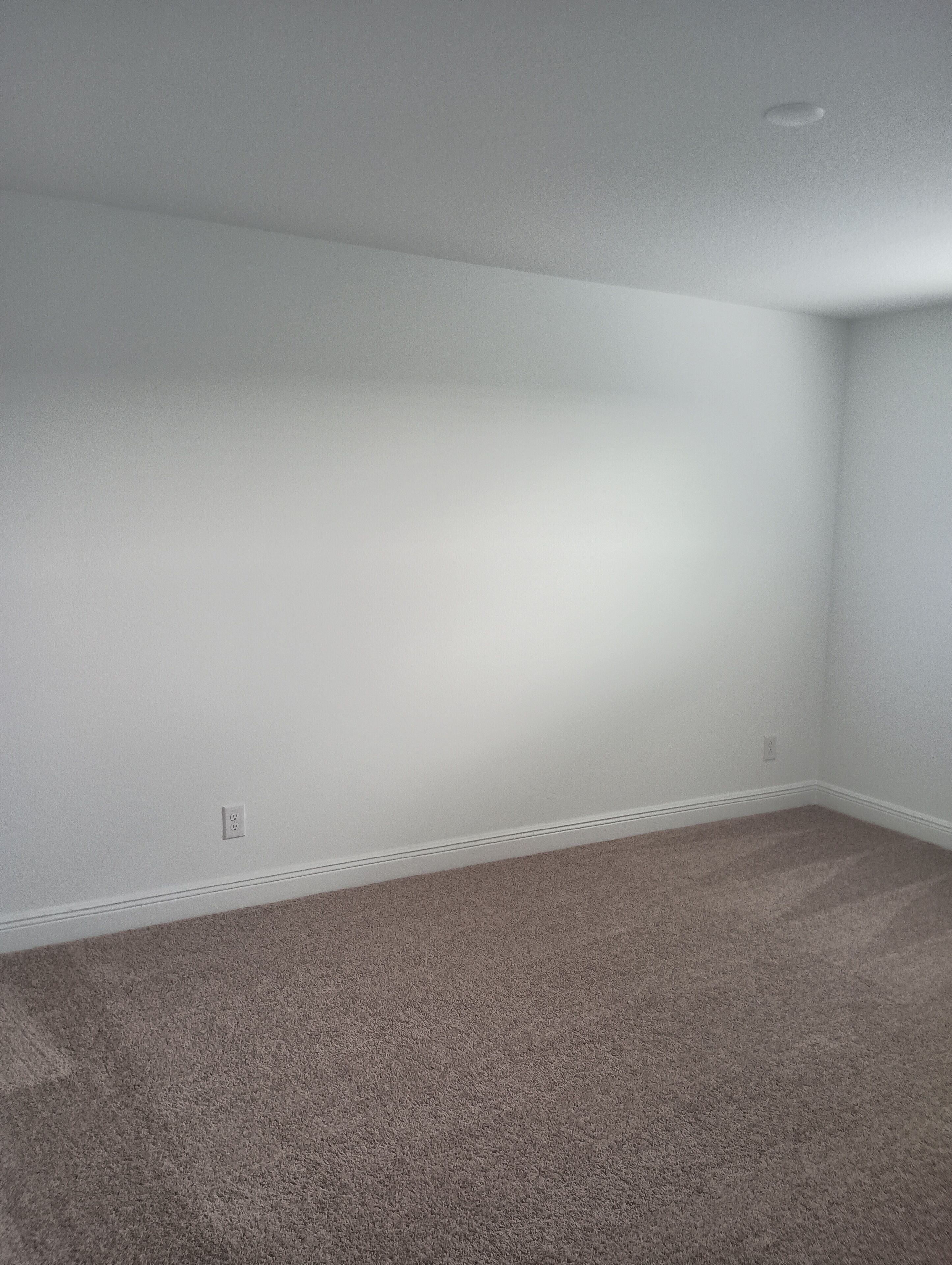 A room with white walls, a brown carpet, and a recessed ceiling light.