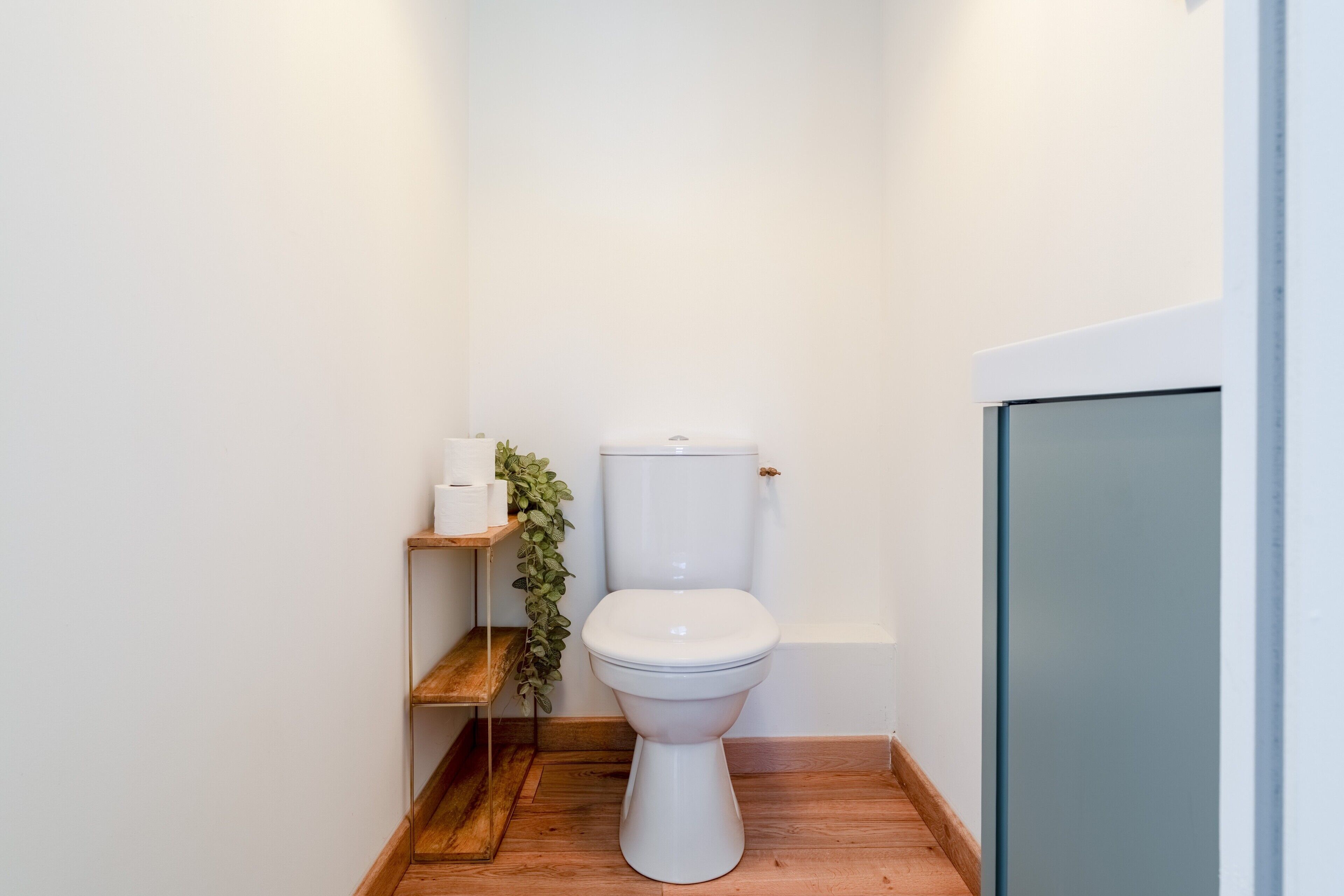 Een kleine, moderne badkamer met een wit toilet, houten vloer, een plank met toiletartikelen en een groene plant.