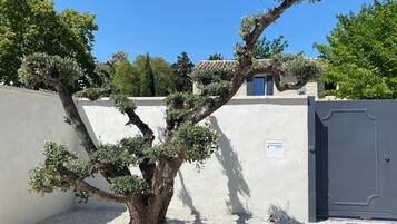 Terrein van de accommodatie