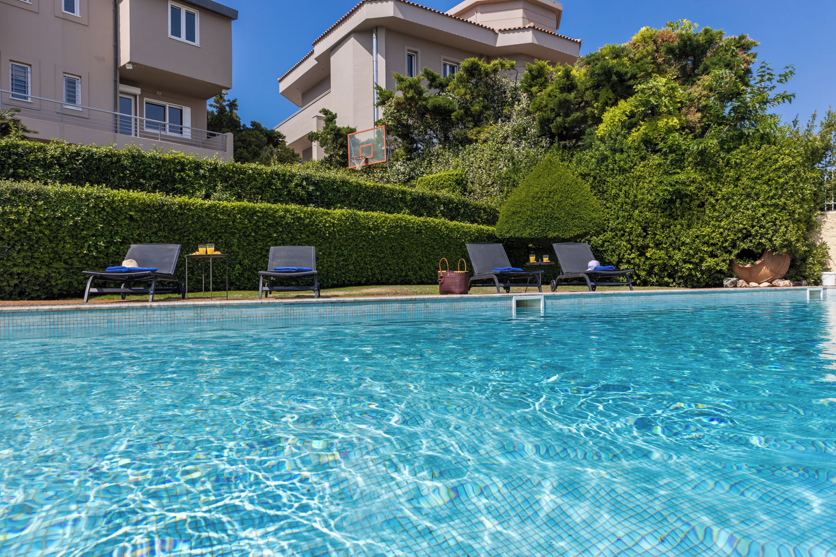 Une piscine à l’eau d’un bleu cristallin, entourée de chaises longues et d’une haie.