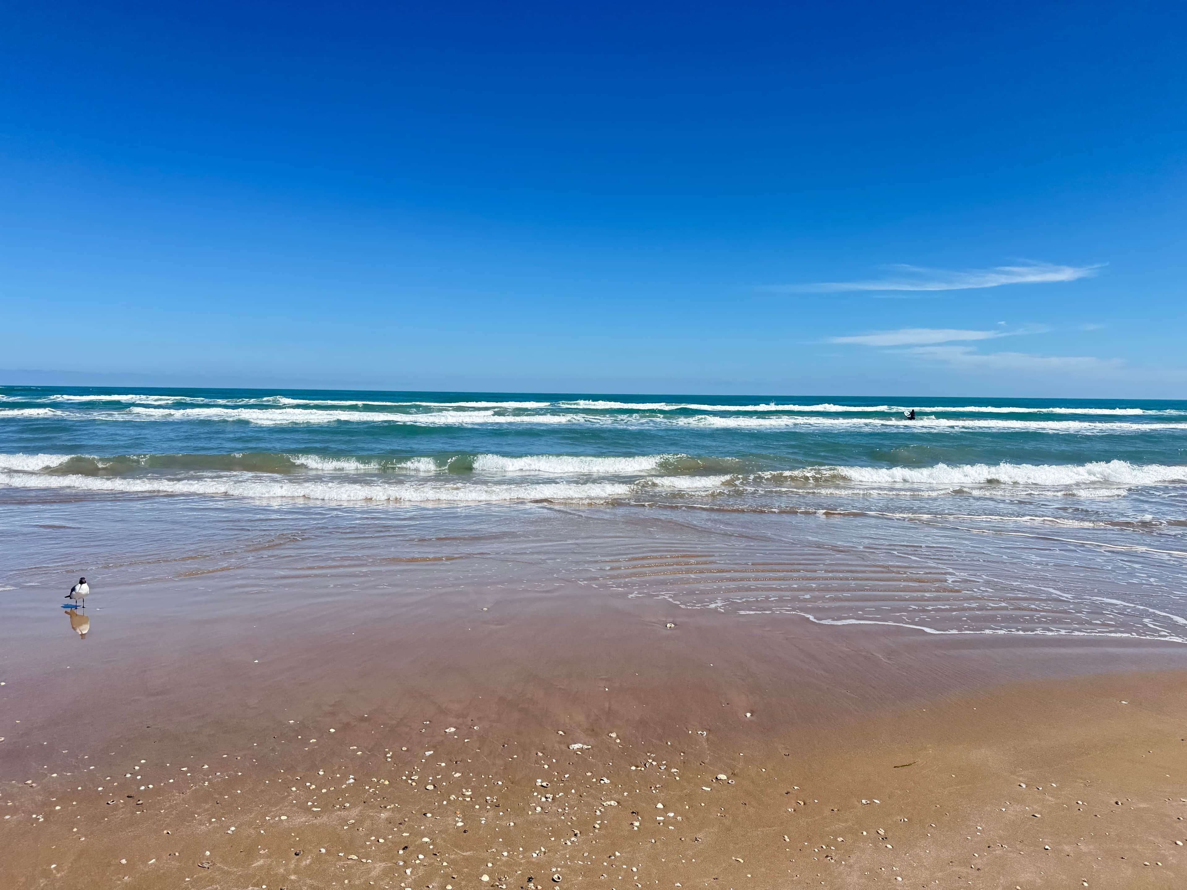 Chaises longues, serviettes de plage