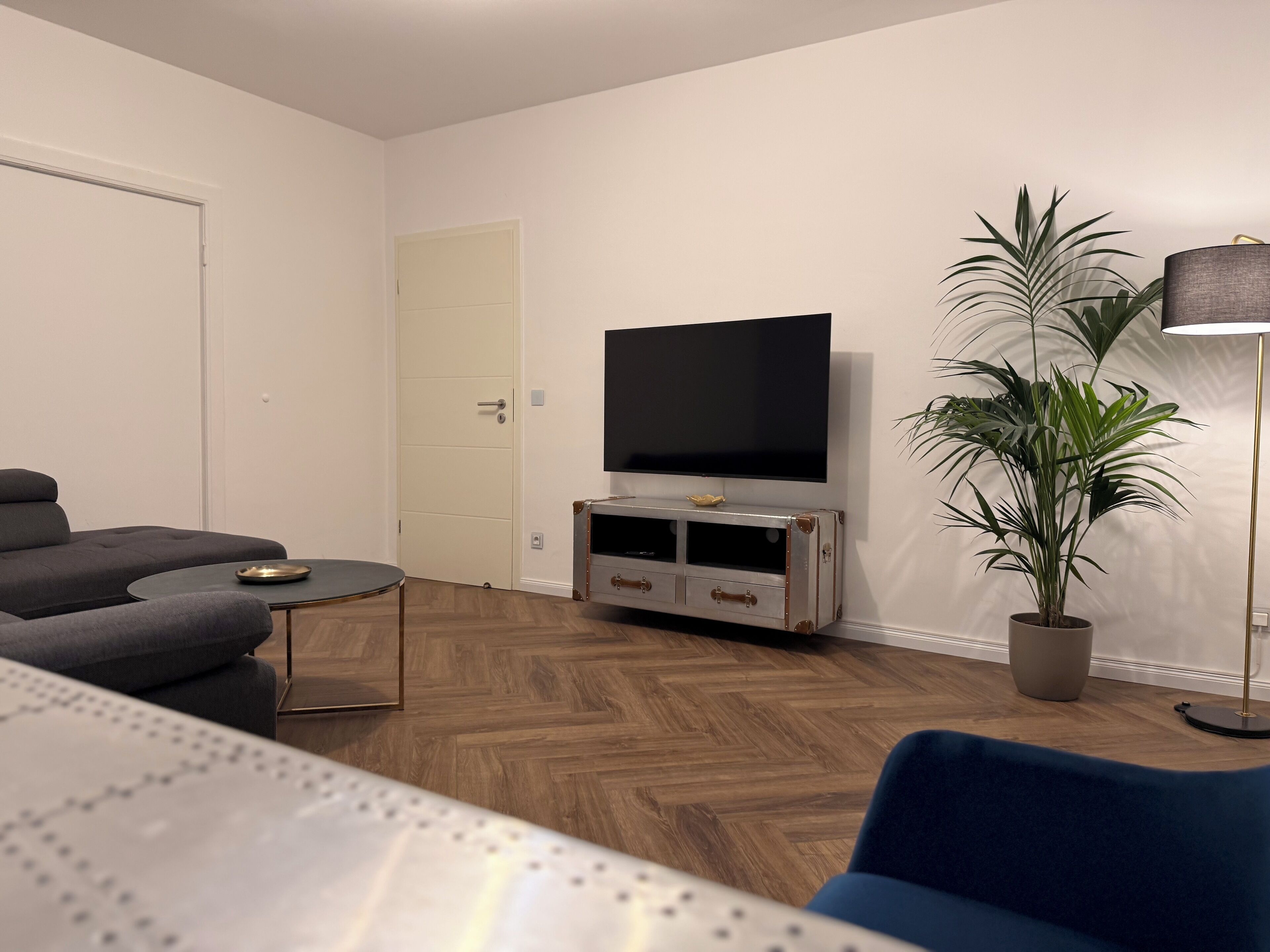 Fernseher