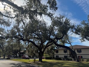 Parking - Cozy and sunny canal-facing condo in charming Port Charlotte - Monthly + Stay  (Port Charlotte)