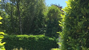 An outdoor patio with a wooden table and chairs, surrounded by potted plants and a hedge. - 5-Star Comfort Holiday Home Jümmers: 'Trientje', Prime Location by Wadden Sea National Park (Wangerland-Horumersiel)