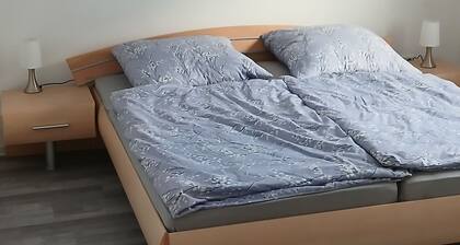 Vacation in the Harz with a dog