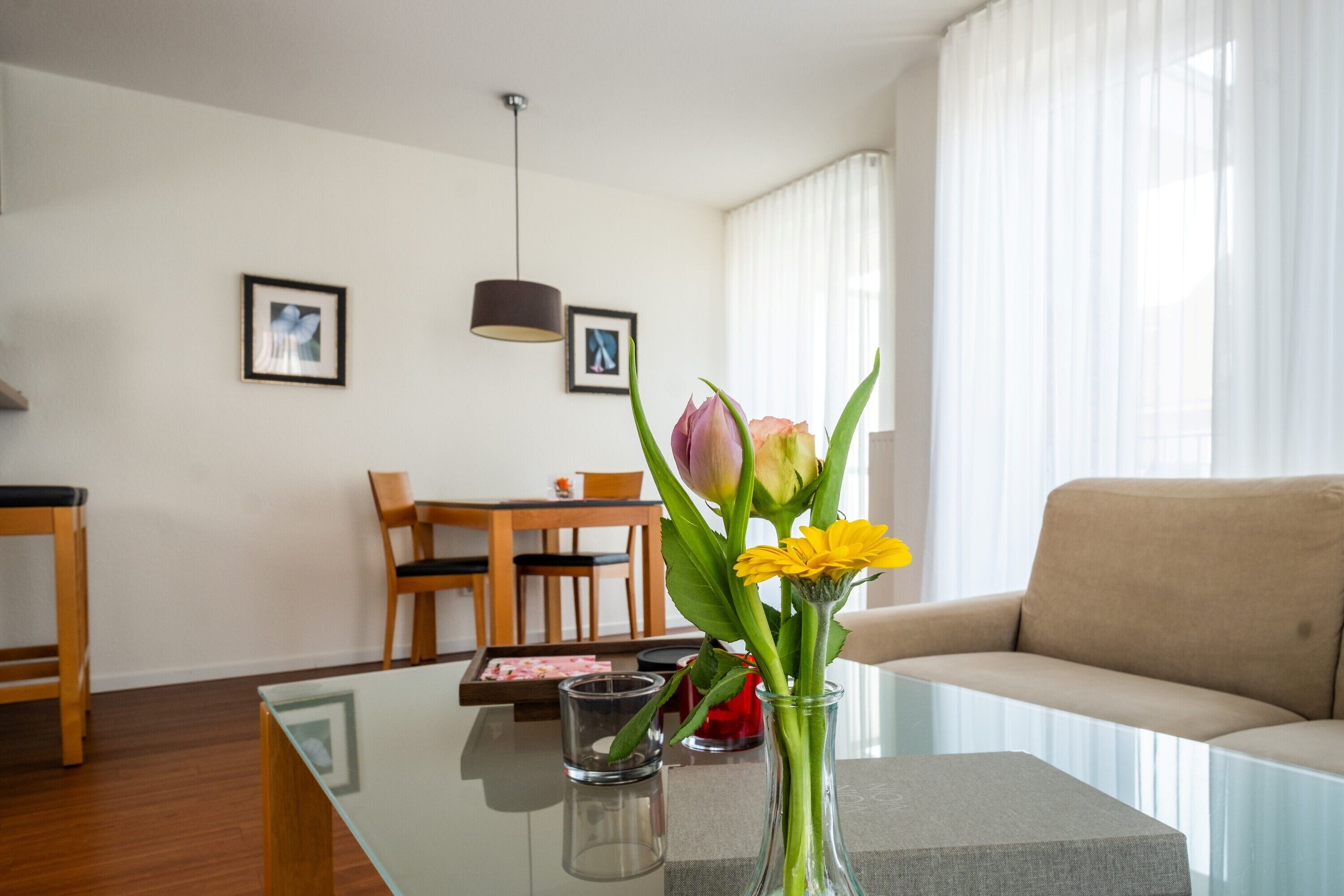 Fernseher, DVD-Player