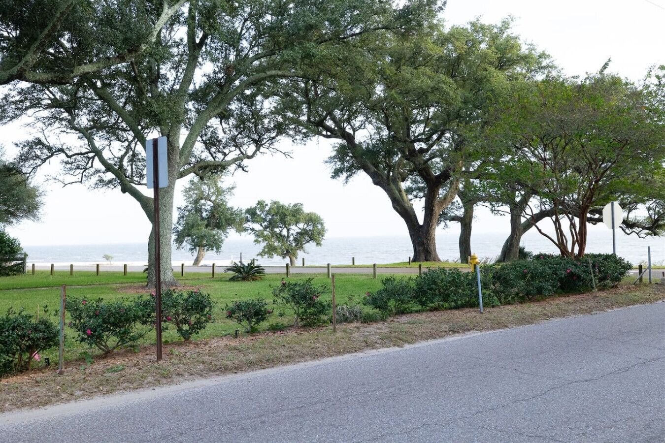 A coastal road with a grassy area, trees, and a view of the sea.