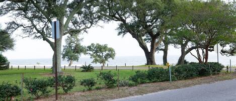 Una carretera costera con una zona verde, árboles y vistas al mar.