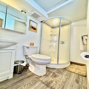 Hair dryer, towels, soap, toilet paper