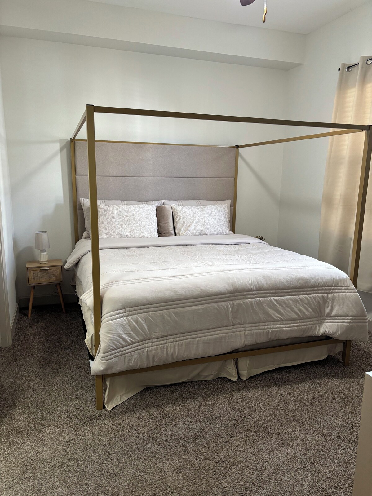 Image de profil de l’hôte