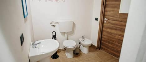 Shower, hair dryer, bidet, towels