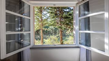 Blackout drapes, iron/ironing board, free WiFi, bed sheets