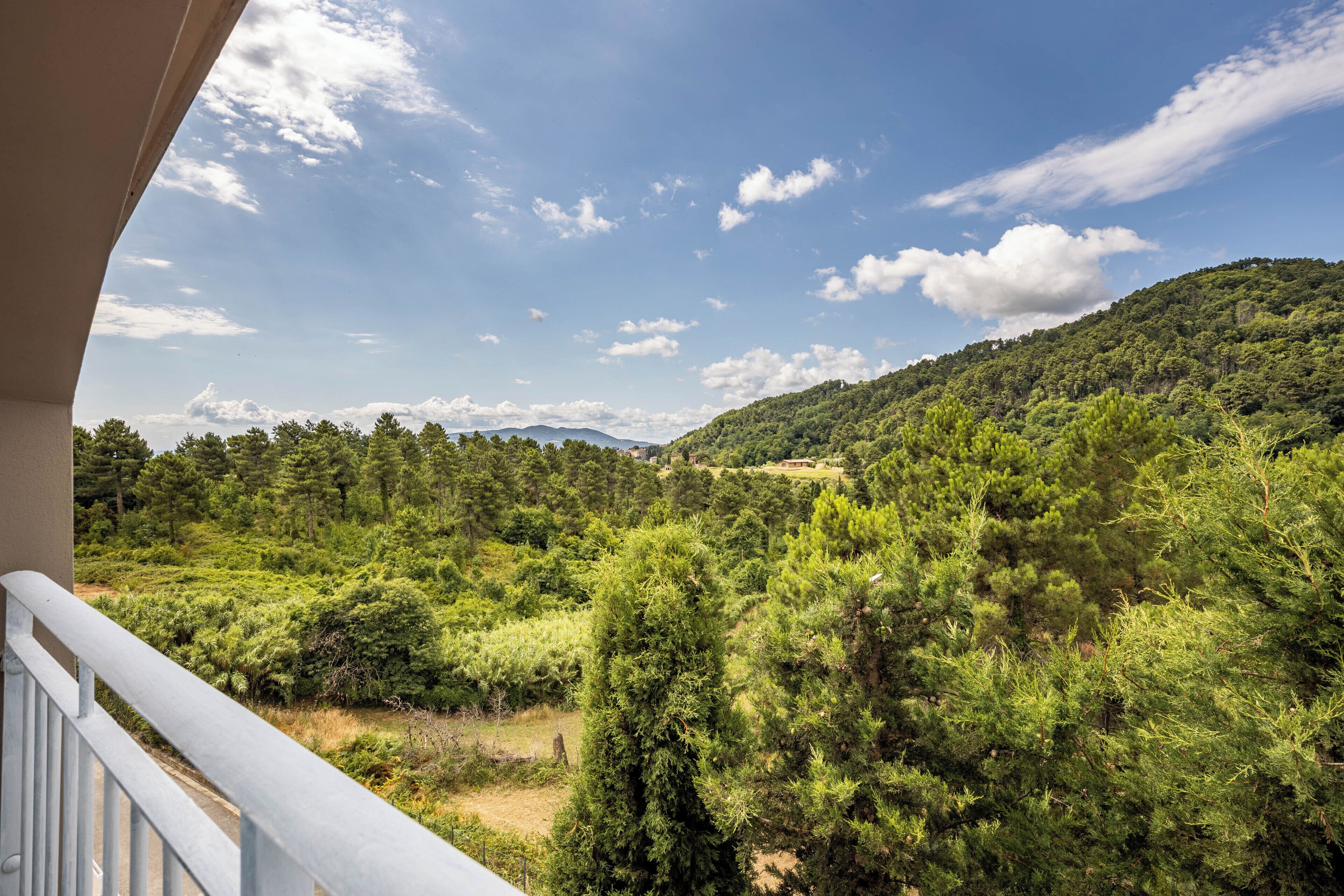 Suite, Poolblick | Blick auf den Park