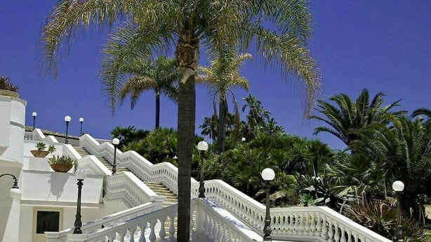 A white staircase with balustrades leading up to a building, surrounded by palm trees and other greenery.