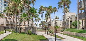 A hotel courtyard with palm trees, a stone wall, and a pathway.