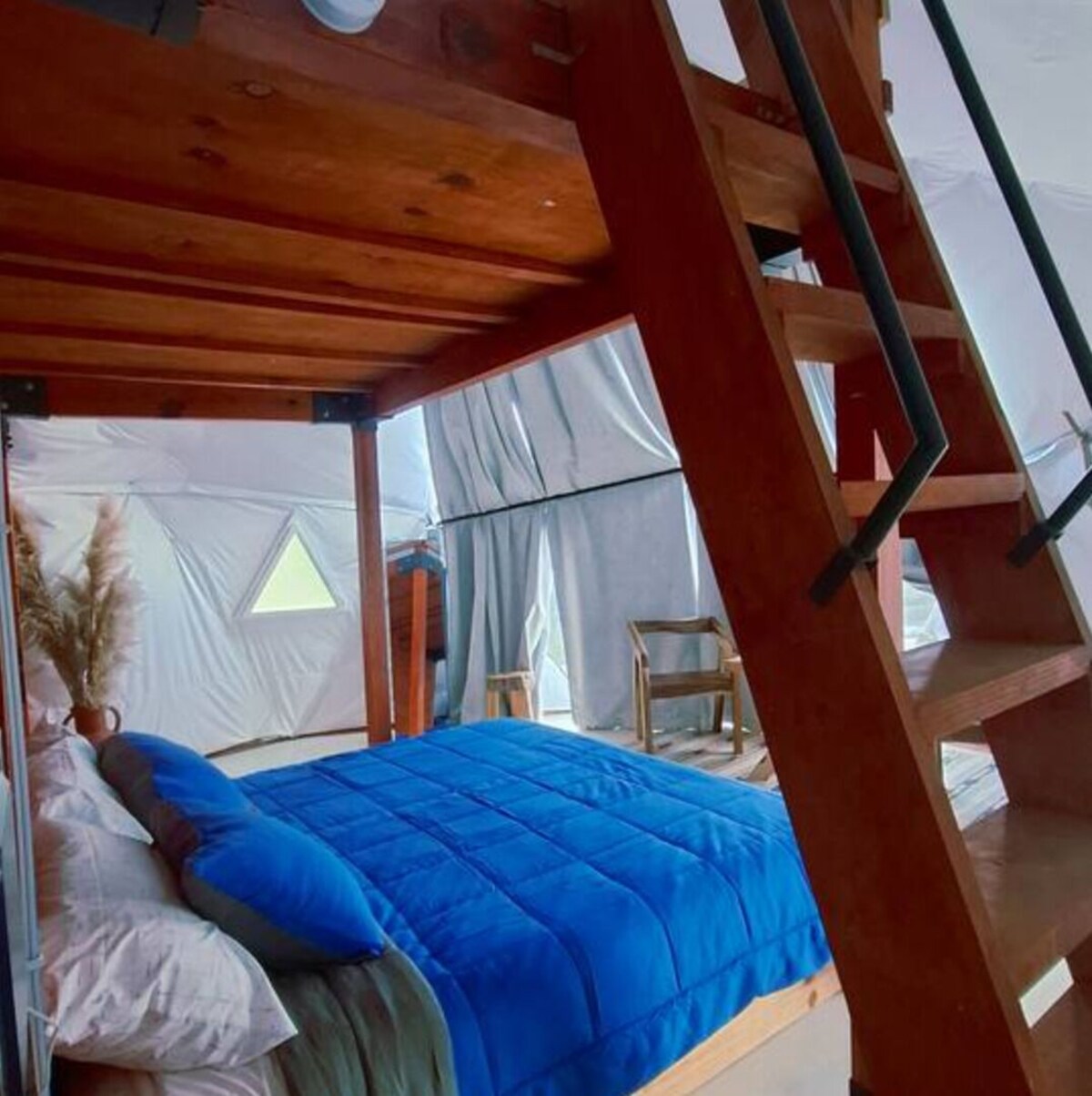 Imagen de perfil del propietario o de la propietaria