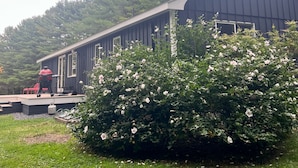 A modern building with a covered deck and a large bush in the foreground. - Charming Berkshire Bungalow: Deck, Firepit, Stargazing (Egremont)