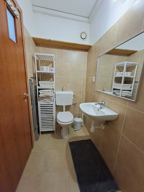 Shower, hair dryer, towels, soap