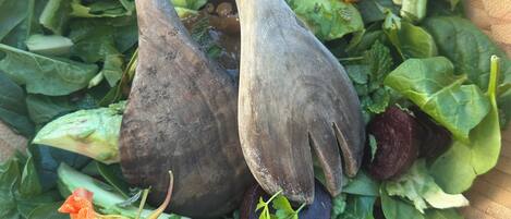 Alimentos y bebidas