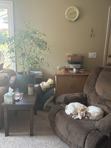 Peaceful 1-bedroom bed & breakfast in charming San Jose