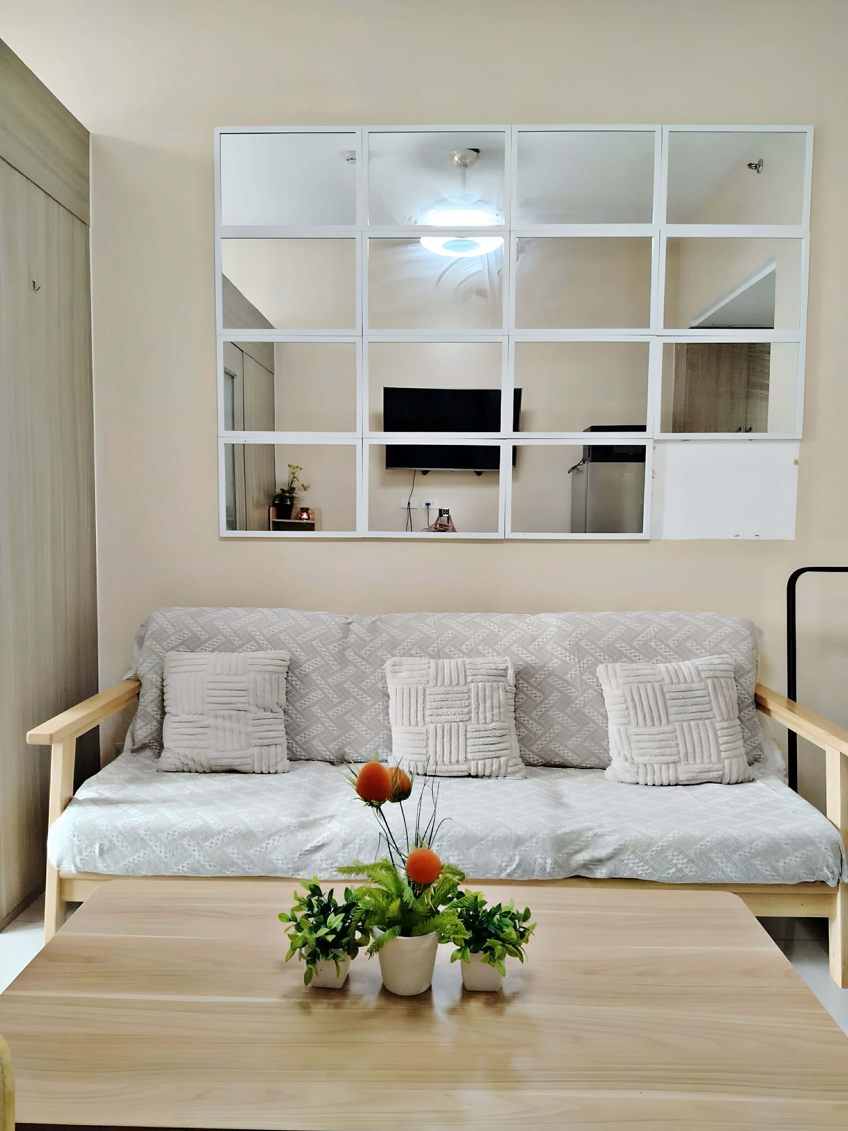A modern living room with a sofa, a coffee table with plants, and a large mirror above the sofa.