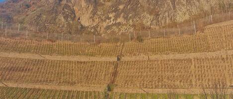 Blick von der Unterkunft