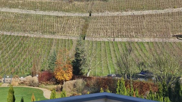 En terrasse med en stenvægt, en vingård i baggrunden og et bjerglandskab.
