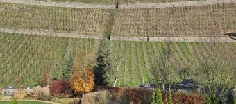 Historic villa with a view of Drachenfels